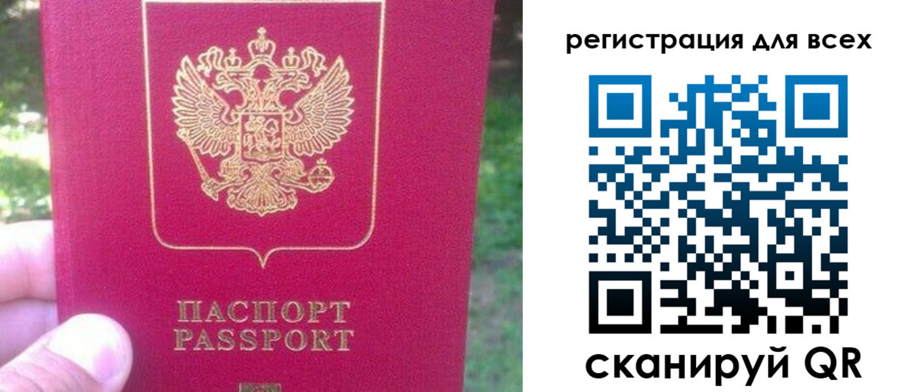 регистрация для школы в Мончегорске