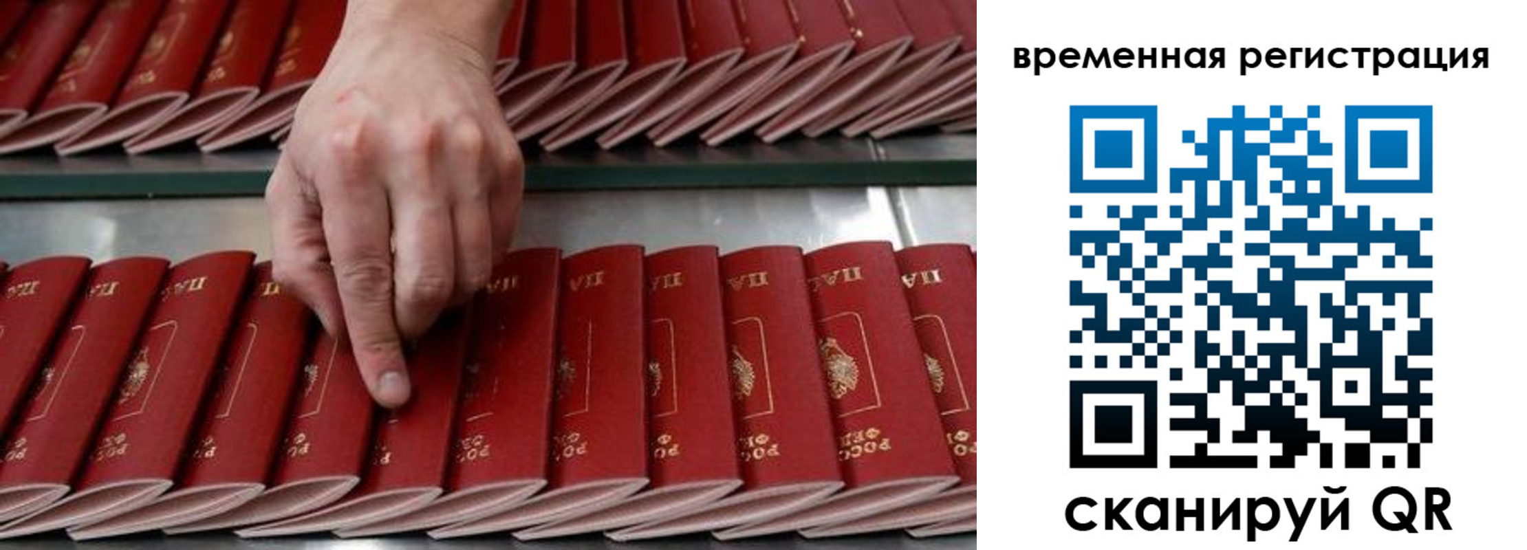 временная регистрация в квартире в Мончегорске