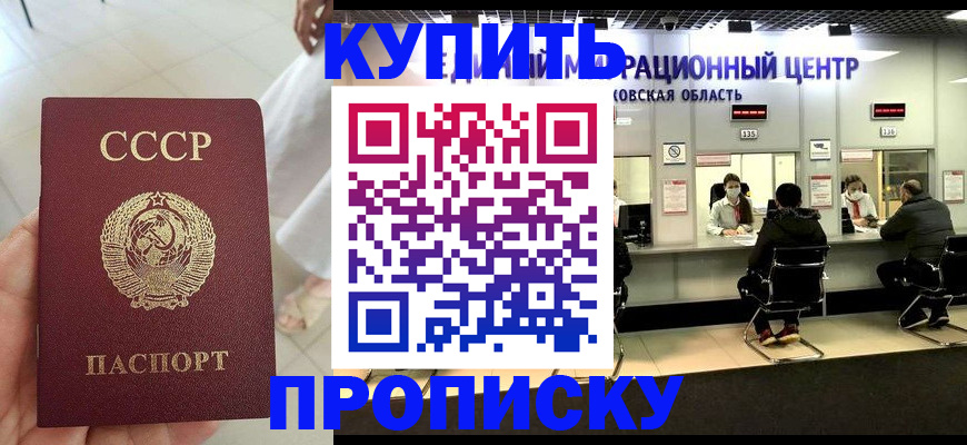 временная регистрация адрес в Мончегорске